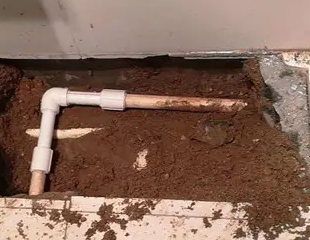 融安测漏水哪家好