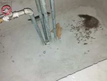 融安卫生间测漏水价格明细