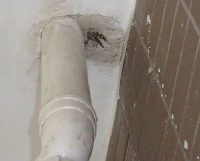 融安漏水检测哪家好